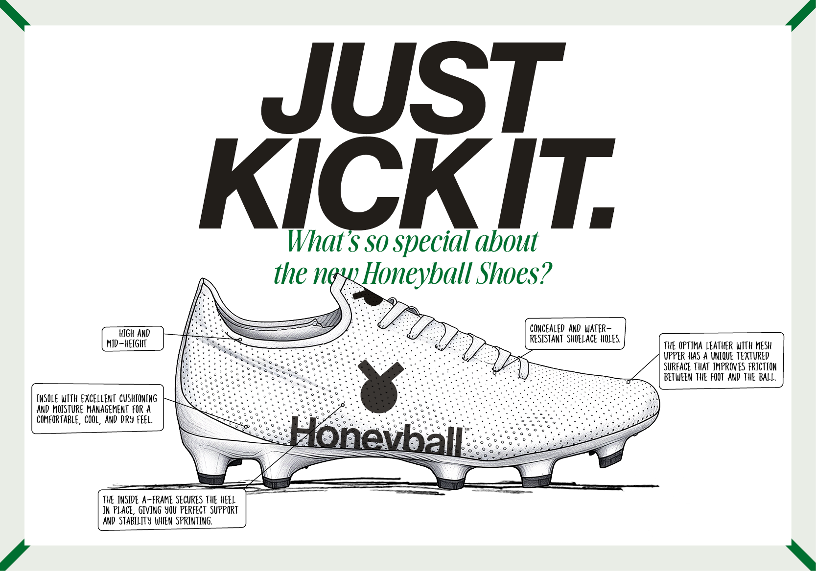 honeyball_webpage_Pics